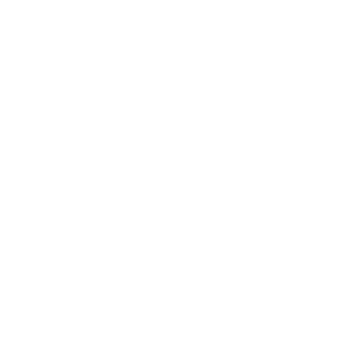 SESMT Digital Logo